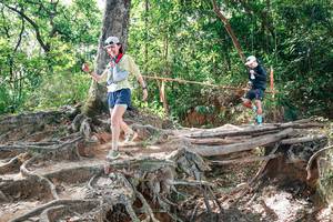 BIB: 
                            <button type="button" onclick="openModal(27720806)" class="btn btn-primary btn-sm float-right btn-popup" data-toggle="modal" data-target=".modal-high-quality">
                        <i class="fas fa-shopping-cart"></i> Add to Cart
                    </button>
                                            <button type="button" onclick="isThisMe(27720806, true)" class="btn btn-success btn-sm float-right btn-popup btn-isme hidden" data-toggle="tooltip" data-placement="bottom" title="นี่คือรูปของคุณใช่ไหม คลิกที่นี่เพื่อเอาเข้าอัลบั้ม">
                        <i class="fas fa-plus"></i> Add to album
                    </button>
                    <button type="button" onclick="isThisMe(27720806, false)" class="btn btn-warning btn-sm float-right btn-popup btn-isnotme hidden">
                        <i class="fas fa-ban"></i> Remove from album
                    </button>